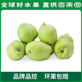 PAGODA百果园 酥梨3斤家庭装（单果径：≥65mm）