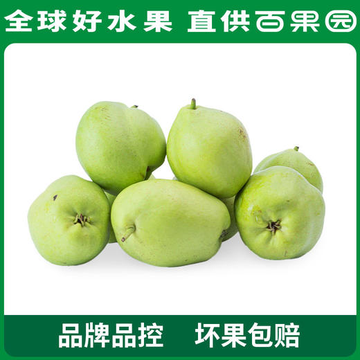 PAGODA百果园 酥梨3斤家庭装（单果径：≥65mm） 商品图0