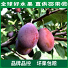 PAGODA百果园  新疆法兰西西梅3斤彩箱装（单果重：20g+） 商品缩略图5
