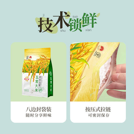 五常稻香米(5袋10斤) 商品图4