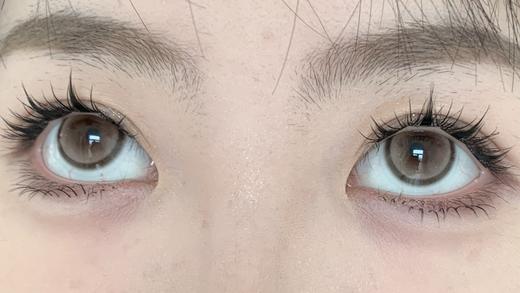 Deerbell•鹿小贝10片装日抛--乌龙茶 商品图1