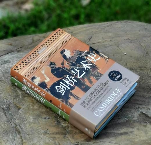 《剑桥艺术史》（全彩升级版），精装，16开，两厚册，作者: [美国]苏珊·伍德福德 / [美国] 安妮·谢弗—克兰德尔 / [美国]罗萨·玛利亚·莱茨 / 等，钱乘旦译，译林出版社2023年1月一版 商品图2