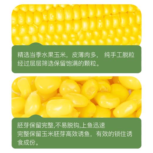 佳钓尼窝料鲜嫩玉米颗粒鲤鱼草鱼翘嘴青鱼钓饵钓大物打窝玉米窝料 商品图1