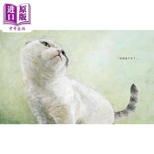 【中商原版】町田尚子 猫爪之夜 附书衣海报 港台原版 儿童绘本 猫咪书 动物图画书 精装童书儿童读物 3-8岁 获奖作家作品 商品图4