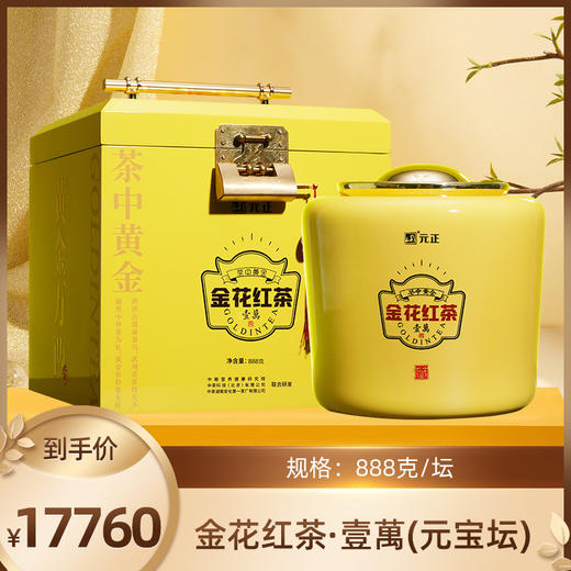 【限量版】元正红茶创新金花红茶冠突散囊菌红茶888g高端送礼盒装 商品图0