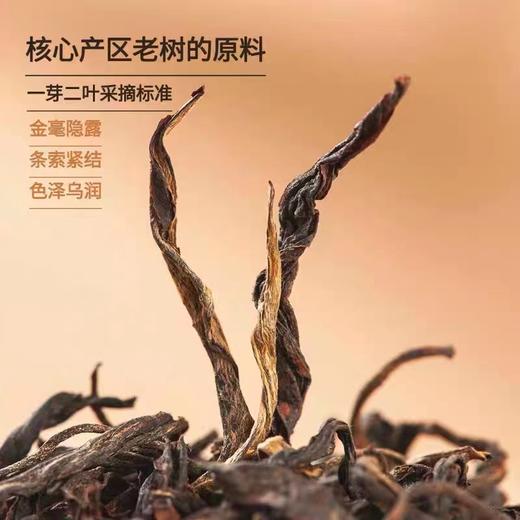 凤宁号  | 2024年 老树滇红礼盒 超大礼盒 (4g*120小袋） 商品图3