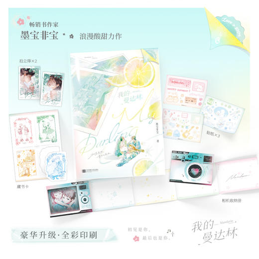 我的曼达林 墨宝非宝著 商品图0