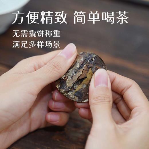 茶鲜森古树茶品鉴装 六种风味小饼茶 生茶 熟茶 白茶 商品图2