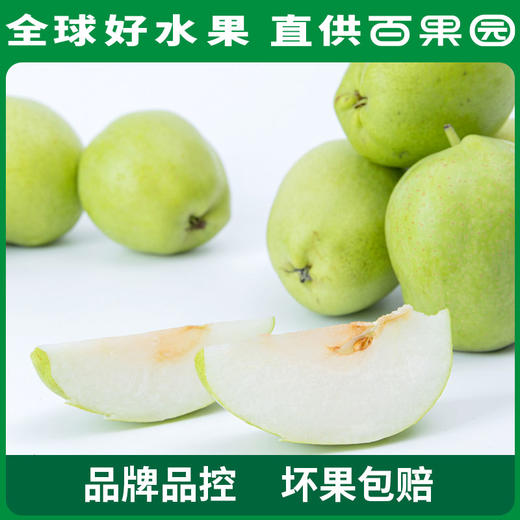 PAGODA百果园 酥梨3斤家庭装（单果径：≥65mm） 商品图4