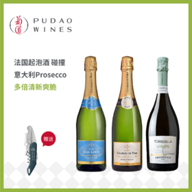 起泡酒组合 迪费路易白中白+迪费珍藏天然型白中白+塔瑞塞拉绝干起泡酒