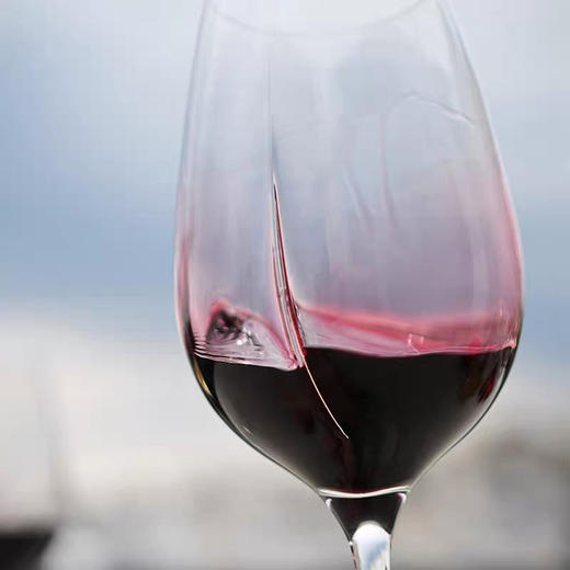 法国进口L'Atelier du Vin水晶红酒杯高脚杯礼盒套装葡萄酒杯 商品图3