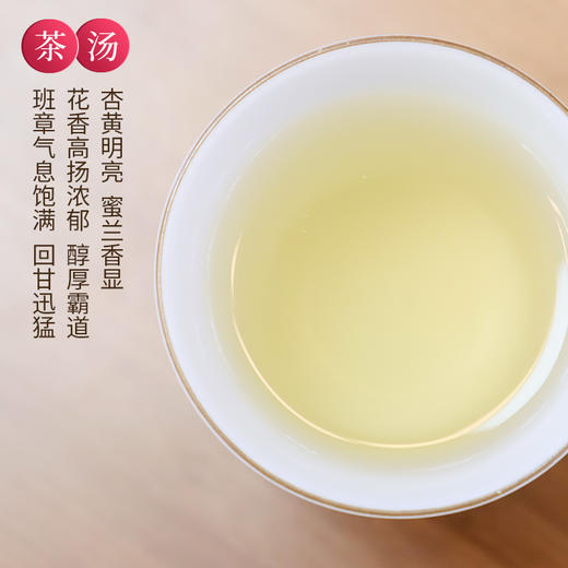 【限量收藏】元正云南勐海普洱五虎上将普洱生茶生态班章收藏礼盒400g 商品图2