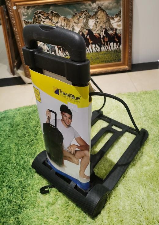 8F友谊自营蓝旅豪华手推车 商品图0