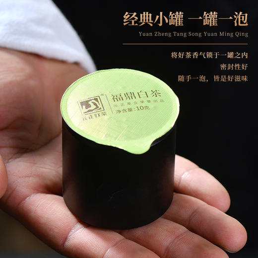 元正 【2023唐宋元明清】系列福鼎白茶210g 商品图1