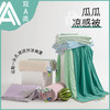 【A类瓜瓜大豆夏凉被】凉感丝冰淇淋夏凉被凉感瓜瓜夏被空调被可机洗夏天薄被子，牢牢固定内芯，不易滑动。ry 商品缩略图0