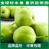 PAGODA百果园 酥梨3斤家庭装（单果径：≥65mm） 商品缩略图2