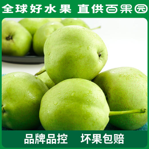 PAGODA百果园 酥梨3斤家庭装（单果径：≥65mm） 商品图2