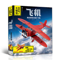 动手做！大模型 飞机  商品图0