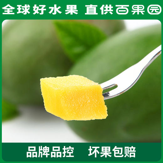 PAGODA百果园 凯特芒果8斤礼盒装（单果重：≥600g） 商品图3