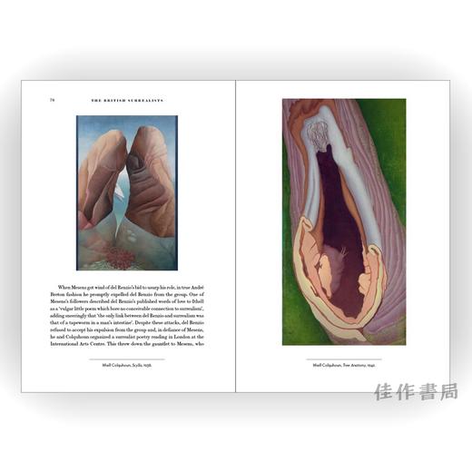 The British Surrealists / 英国超现实主义者 商品图4