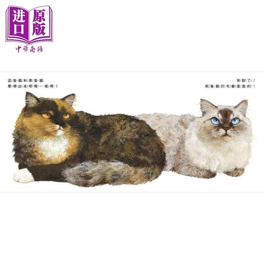 预售 【中商原版】町田尚子 猫和猫 特别加赠猫咪资料夹 港台原版 儿童绘本 可爱的猫咪书 动物图画书 精装童书儿童读物 3-8岁 商品图4