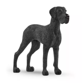 思乐大丹犬SCHC13962