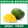 PAGODA百果园 凯特芒果8斤礼盒装（单果重：≥600g） 商品缩略图1