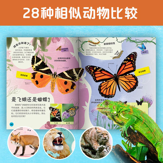 DK博物大侦探.动物的不同 DK百科全书儿童科普动物童书 商品图1