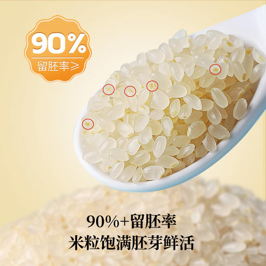 黑龙江五常稻皇妃大米胚芽米 2.5kg*2袋（10斤装） 商品图4