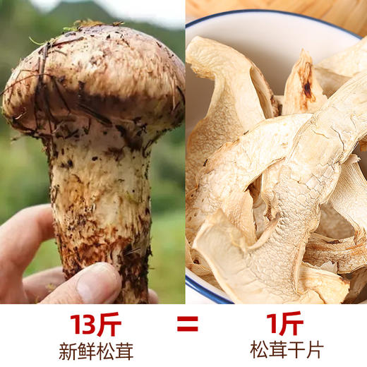 云南野生 松茸片 干货50g/袋  片大肉厚  色泽纯正  口感如鲍鱼般鲜嫩 商品图4
