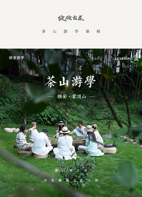 品茶游学，秋分再度启程