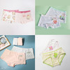【特价】【3条】男童女童卡通平角三角内裤【TK23360M/W】 商品缩略图3