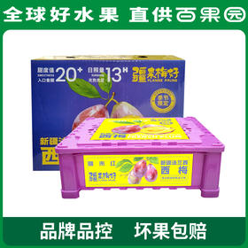 PAGODA百果园  新疆法兰西西梅3斤彩箱装（单果重：20g+）