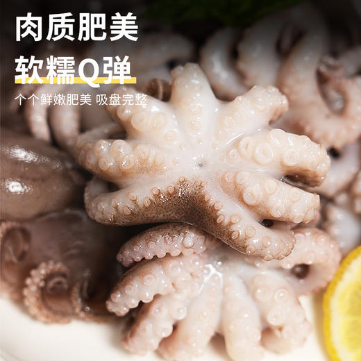 小章鱼｜新鲜八爪鱼 300g/袋 鲜活冷冻小章鱼迷 你短腿八爪鱼【不花心】 商品图1