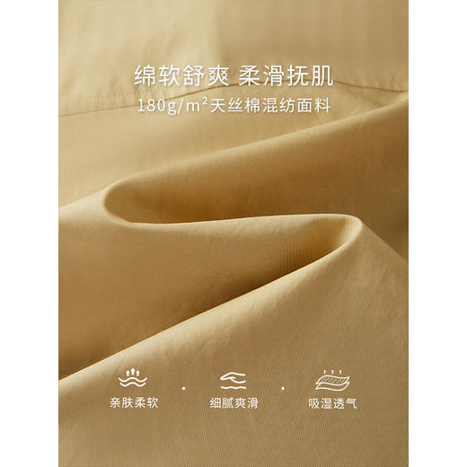 【年终特卖】熙世界卡其色天丝衬衫长袖小个子法式衬衣短款上衣2025秋季新款 商品图4