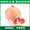 PAGODA百果园  招牌-红钻软籽甜石榴6粒礼盒装（果王 单果重：≥550g） 商品缩略图4