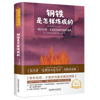 钢铁是怎样炼成的 