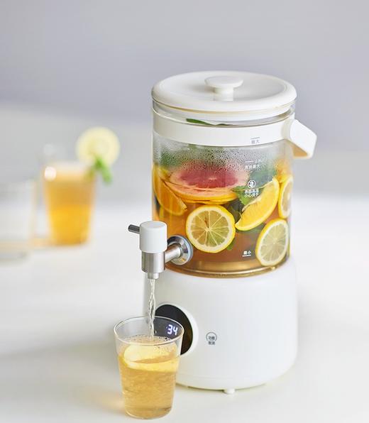 olayks立时养生壶家用办公室保温花茶煮茶器大容量多功能烧水壶 商品图1