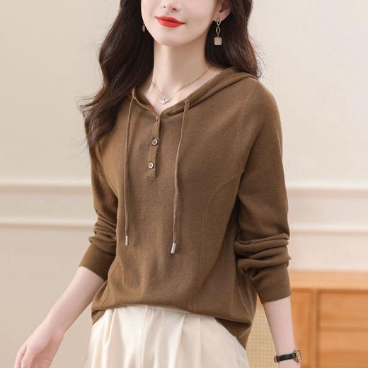 CC-58-8211羊毛衫连帽卫衣女春秋2024新款针织宽松百搭洋气外穿套头打底毛衣 商品图0