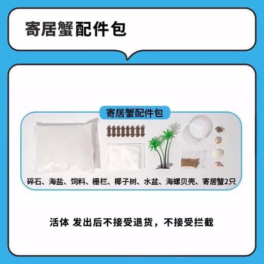 CALLPLAY可答鸭益智玩具 多功能生态舱 寄居蟹 商品图1