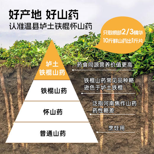 即食胚芽燕麦山药片300g 商品图4