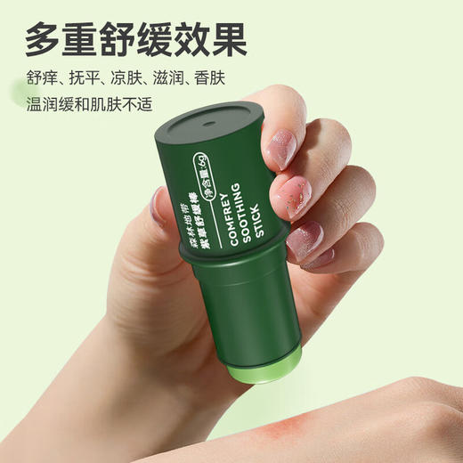 【ZY25】森林地带蚊虫叮咬紫草膏舒缓消包6g 商品图5