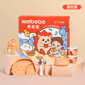 松下-宝宝辅食餐具礼盒套装 桔色