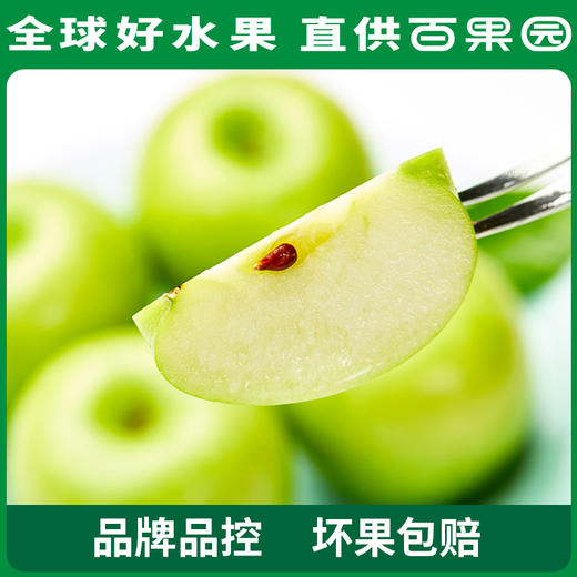 PAGODA百果园 山西青苹果3斤家庭装（单果径：≥60mm） 商品图1