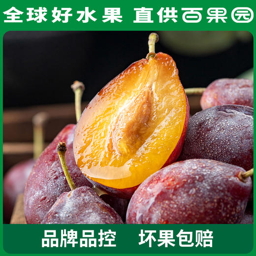 PAGODA百果园  新疆法兰西西梅3斤彩箱装（单果重：20g+） 商品图3