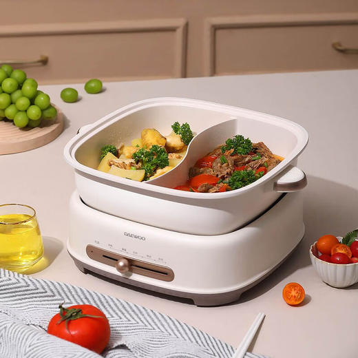 大宇电火锅DYZG-6L16暖阳白 商品图0