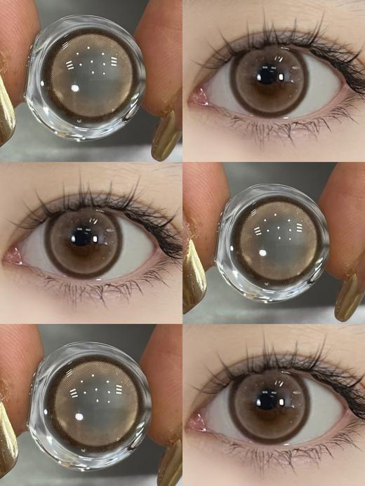 Deerbell•鹿小贝10片装日抛--乌龙茶 商品图2