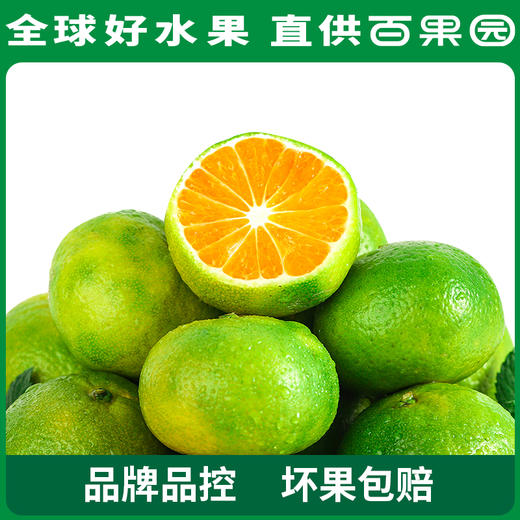 PAGODA百果园 云南蜜桔（大）5斤家庭装（单果径：≥65mm） 商品图1