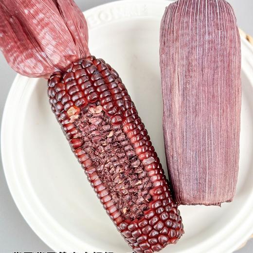 【有机小黑糯玉米】！有机种植，有机高温蒸煮，含花青素，口感香甜软糯，采收吐穗后22-24天黄金期的玉米，严控采收量，确保当天都能锁鲜入库 商品图4