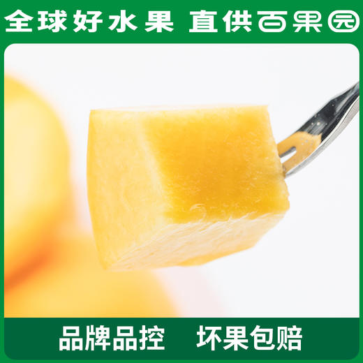 PAGODA百果园  A级-黄桃3斤彩箱装（单果重：200g+） 商品图3